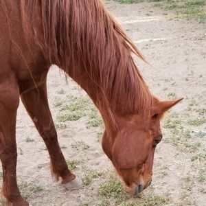 Meet your Posher, Layna